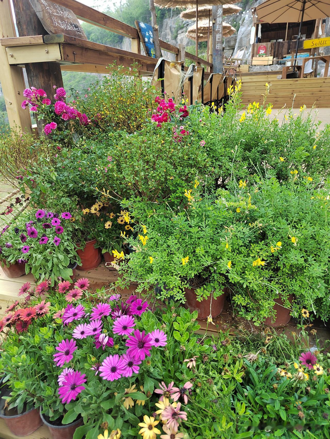 退休金一个月2600，算是偏下水准。我大致把退休金划了个档次。3000以下，