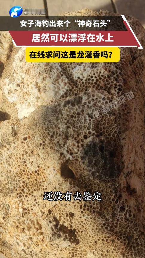 “这简直是捡钱啊！”11月24日，福建漳州，一女子在海边钓鱼时，看到海面上飘着一