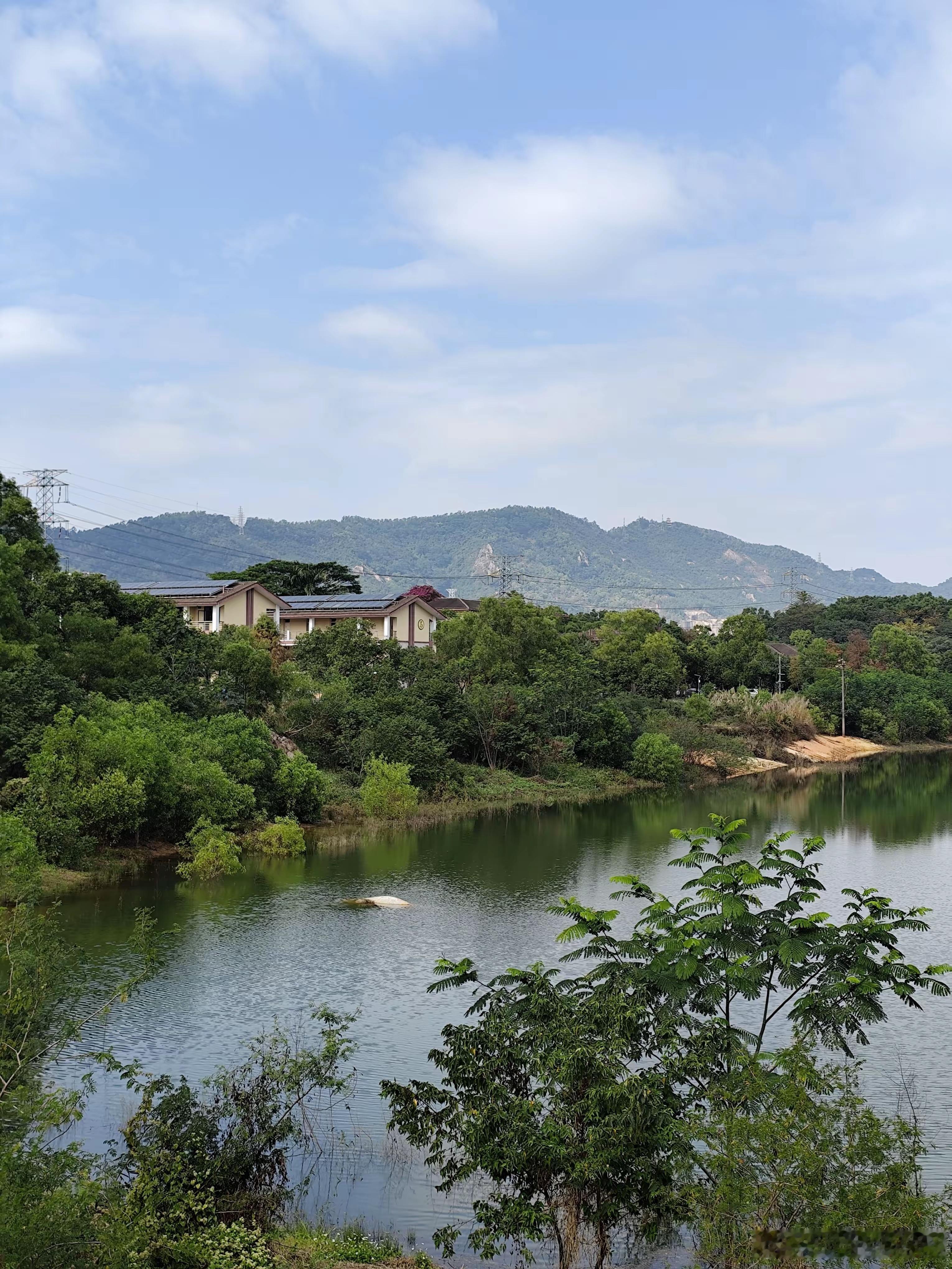 深圳有些公园还是很值得一逛的，非节假日去人还特别少，例如九围湿地公园。