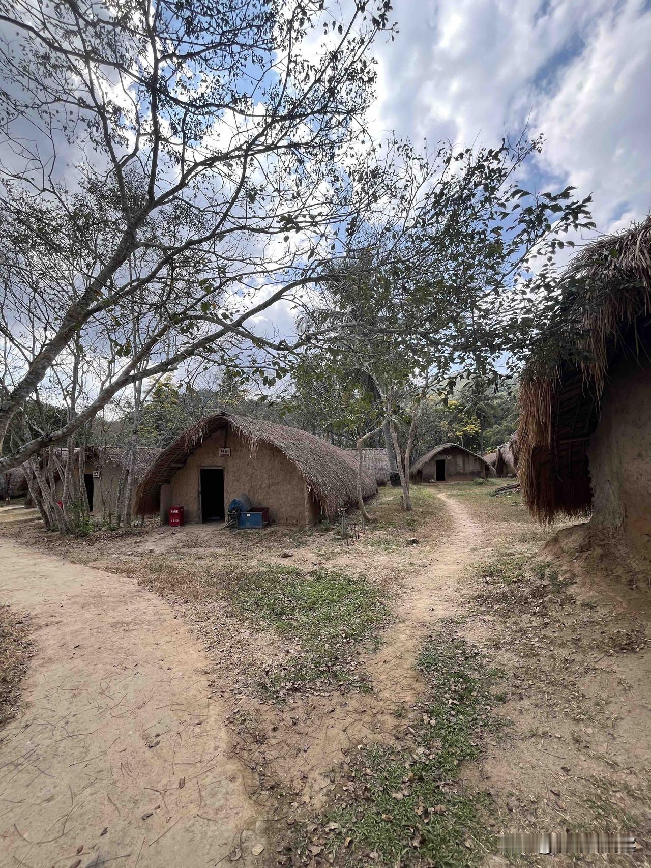 倪萍、李连杰的返老还童，让人毛骨悚然、十分恐怖。看到崭新的、蹦