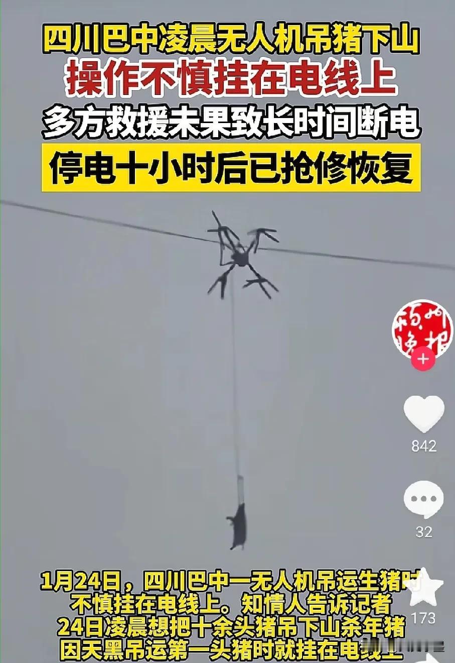 不怕猪会飞，就怕下不来！现在无人机的用途真是越来越广泛了！在四川出了这么一档