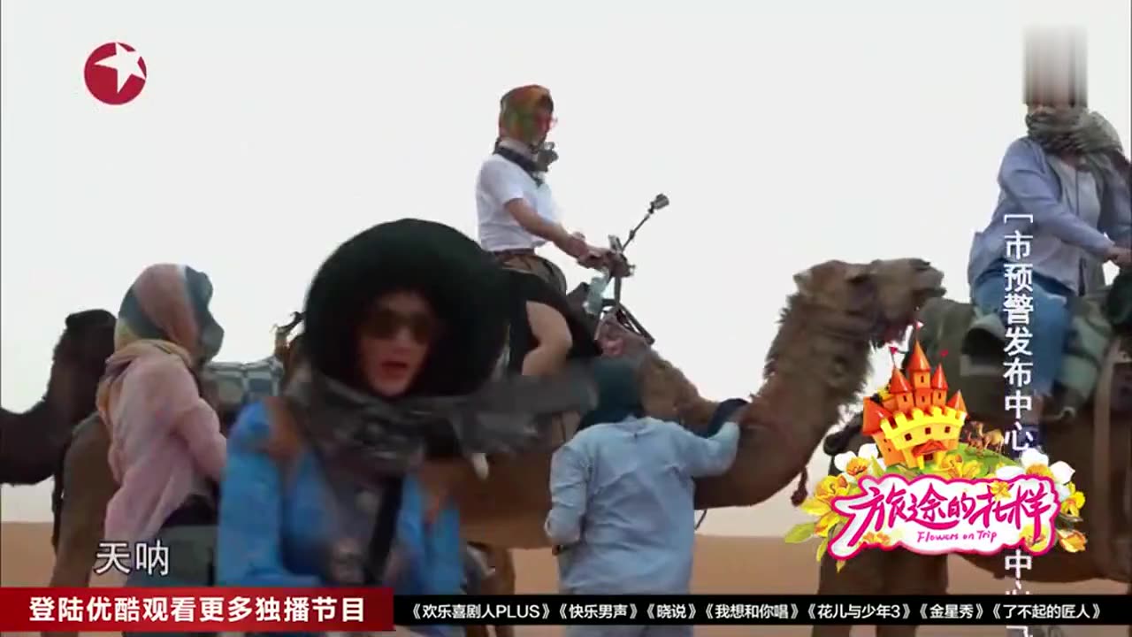 天边的骆驼 林媚