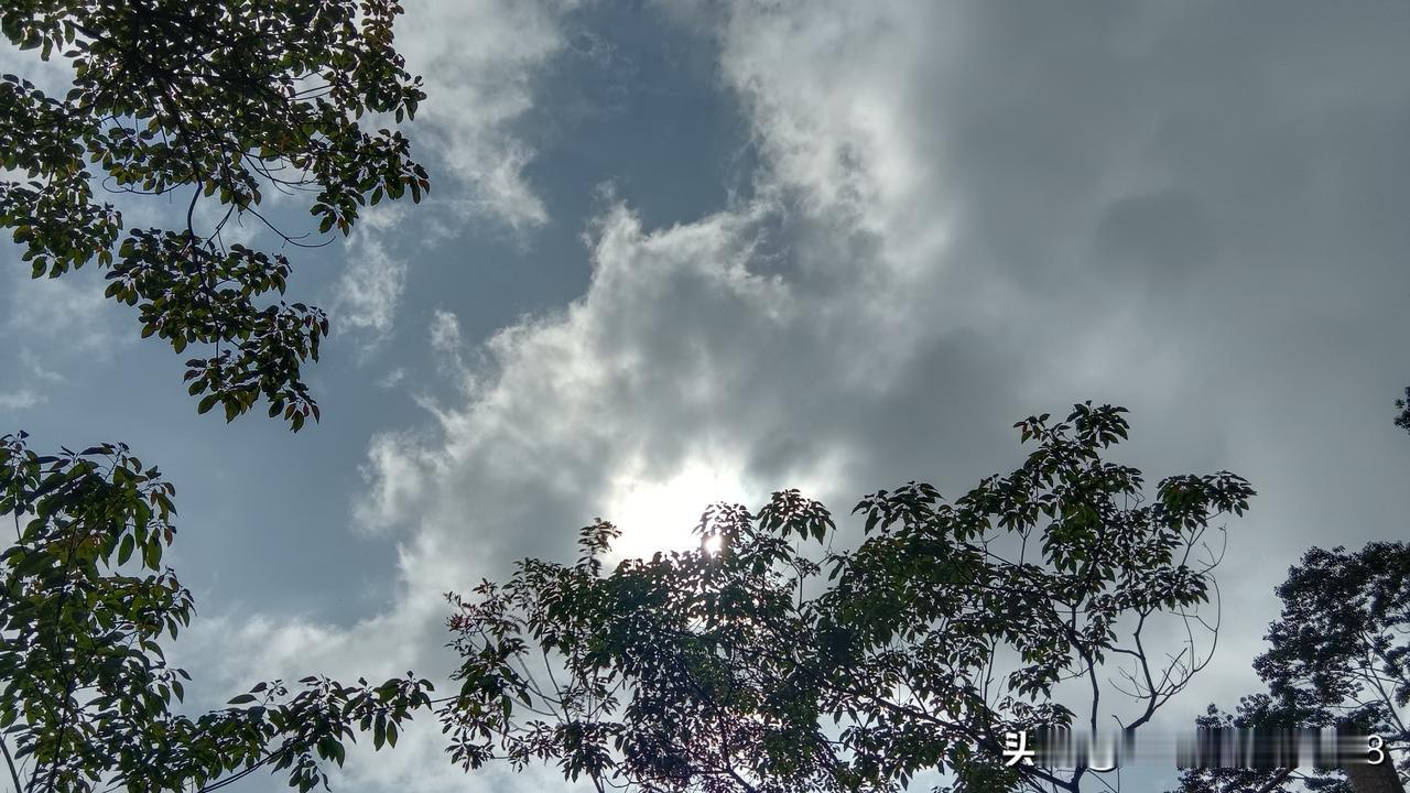 现在不少药店老板呼吁，药店都取消医保最好，让需要医保刷卡的人都去医院。现在有