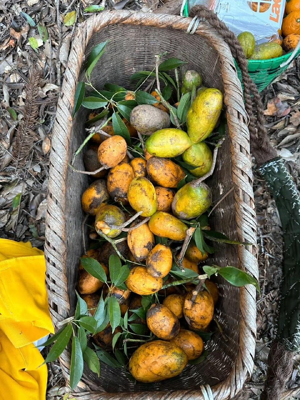 如果你厌倦了外面的生活，那就回村里吧