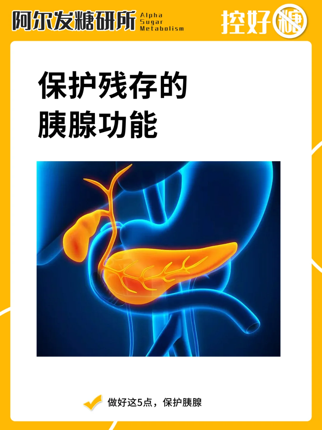 想要血糖稳定，一定要保护胰腺