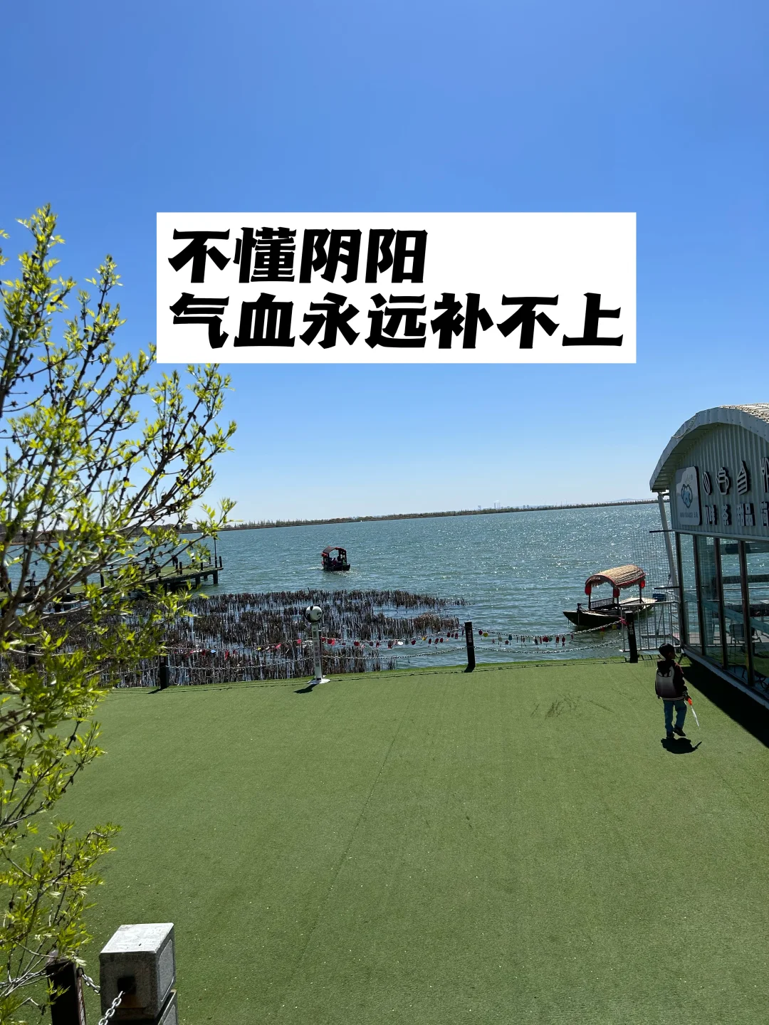 不懂阴阳，气血永远补不上.