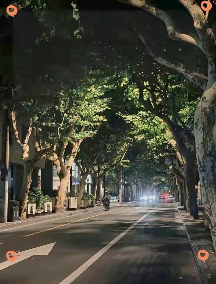 奉劝大家，现在就重视起来，千万不要再每天晚上去熬夜了，你以为你熬的是夜，其