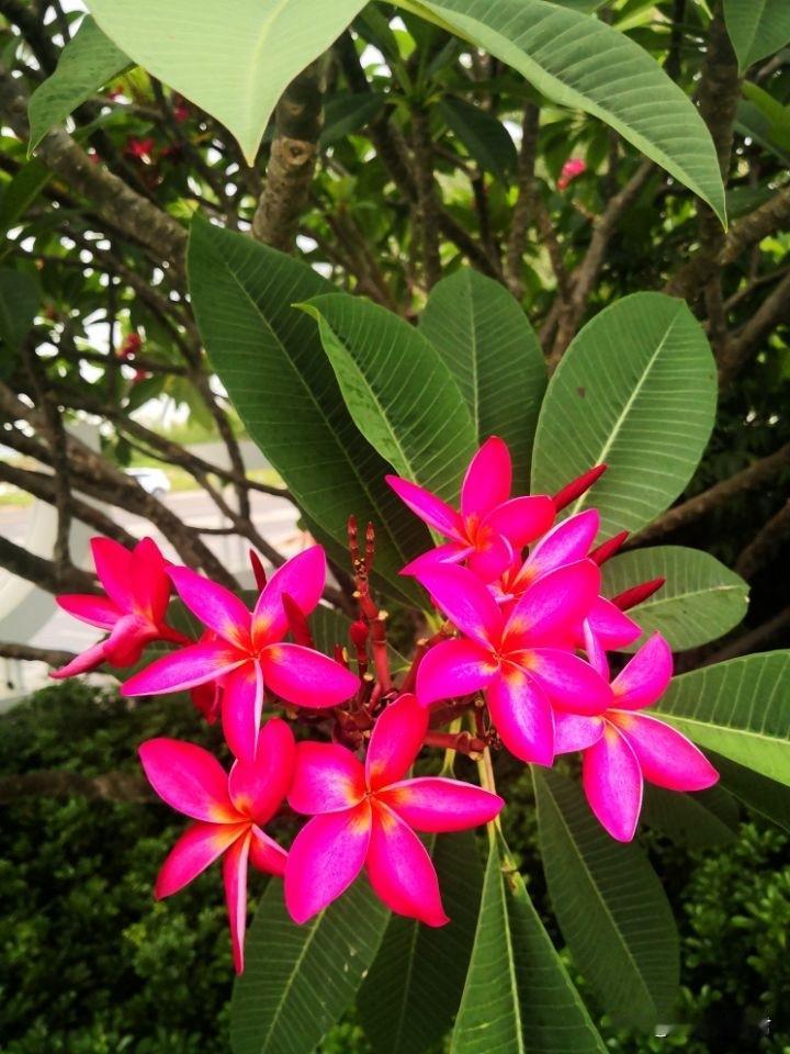 女人越是年纪大，谈恋爱越要明白：不能给自己找麻烦。一女子，46岁，离异，谈了一个