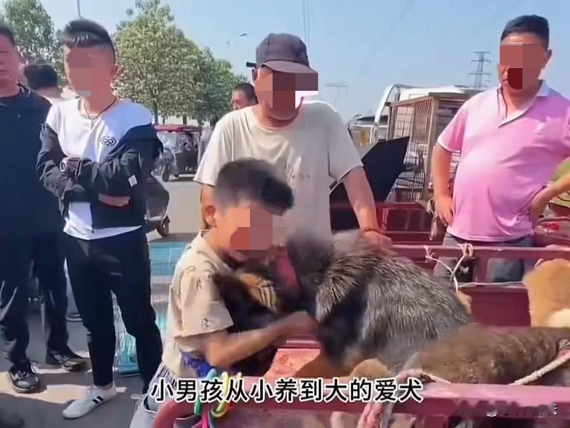 “太可恶了”！在集市上，小男孩从小养大的牧羊犬，被父母以1200元价格卖给狗贩子