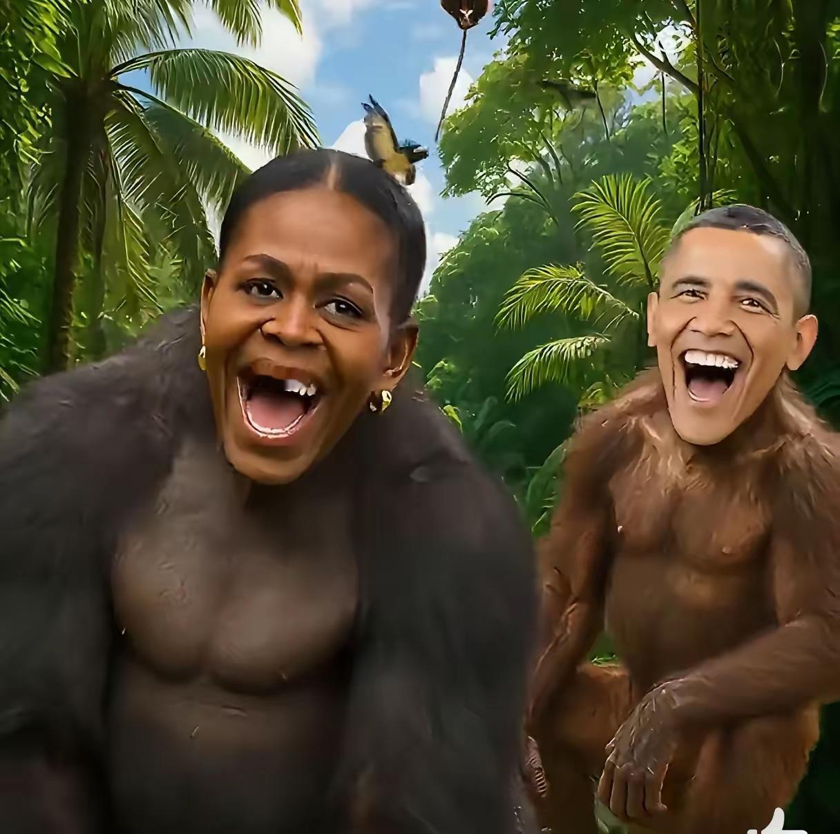 奥巴马夫妇被川普涮了一把，不仅是公然侮辱，而且带有种族歧视。正是婶可以忍，叔