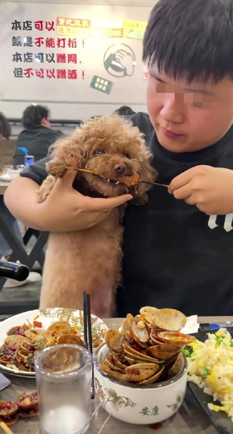 北京，这位网友非常自豪的表示:我的小斗学会撸串了……评论区网友表示:你这是又坑