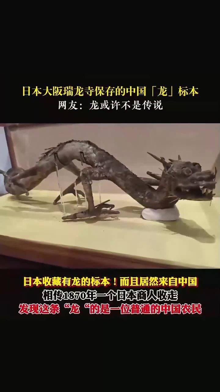 日本古代的龙是3爪，韩国古代的龙是4爪，为何中国的龙却是5爪？很多人都发现一