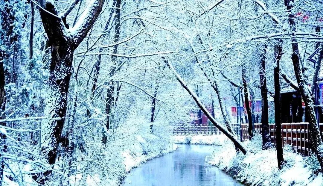 一位青年老师在小红书匿名吐槽抽到的本科论文烂到想给零分，截图被搬到微博后瞬间爆热