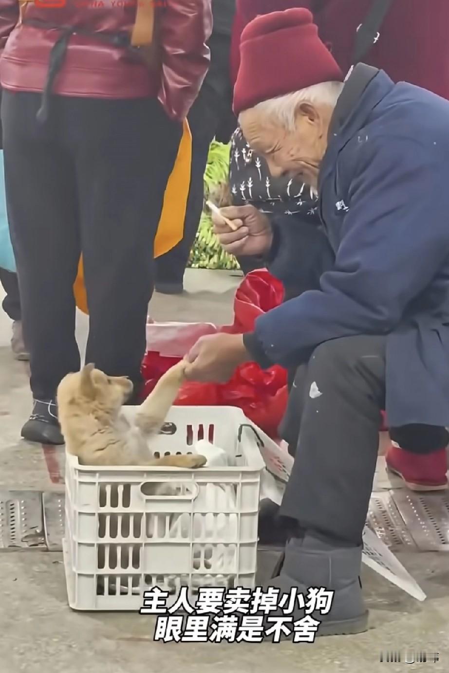 泪目了！这天一位阿姨去菜市场买菜，当她走到一个角落的时候，看到了令人心痛的一幕。