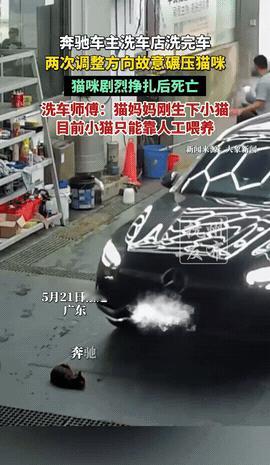 广东佛山，一奔驰车主洗完车后，明明看到地面躺着一只刚产崽不久的狸花母猫，竟两次调