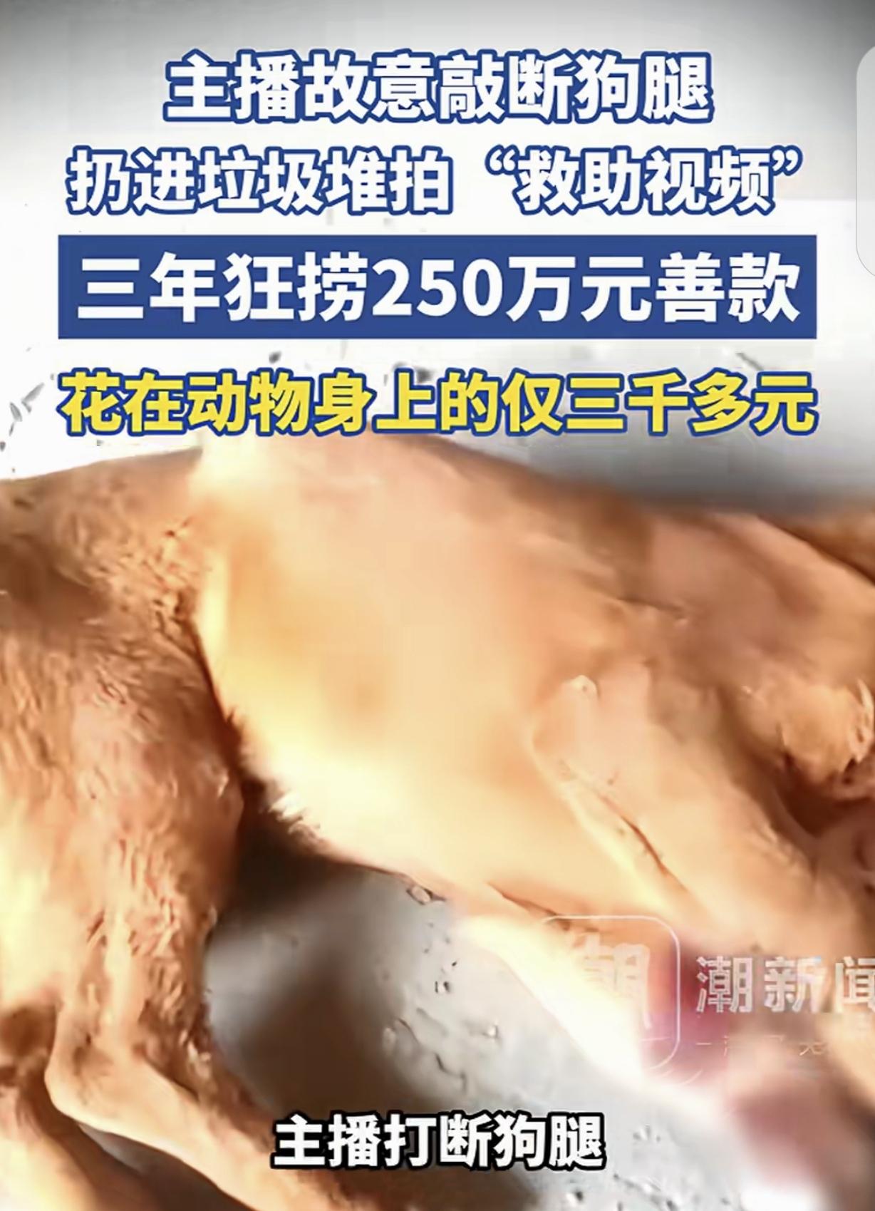 河南周口，一女子慈悲，她在直播间花5000元，下单发往宠物基地的狗粮，可她惊讶的