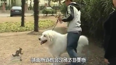 11576767306397513396.jpg?id=0