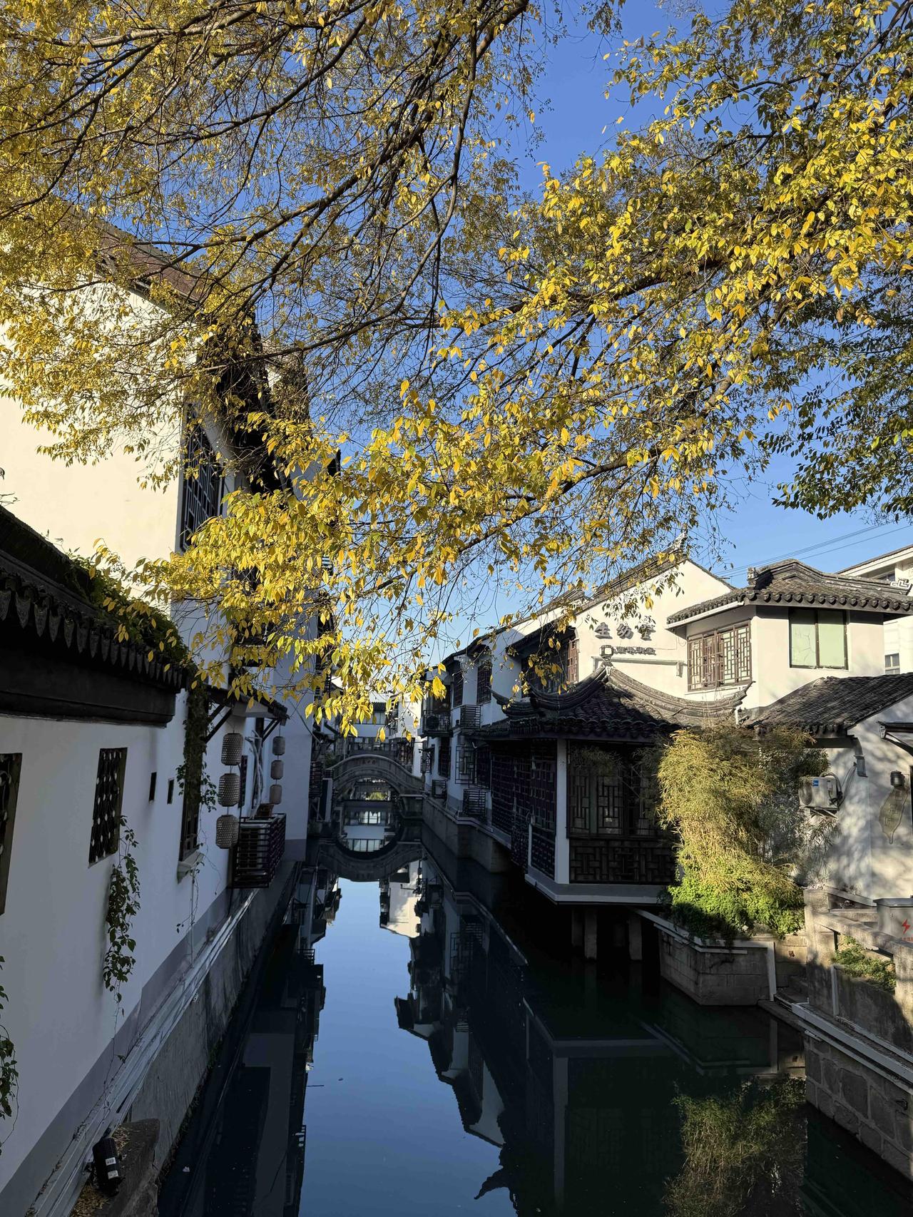 分享你随手拍的风景秋日江南水乡，古桥倒映，黄叶飘落，静谧如画。