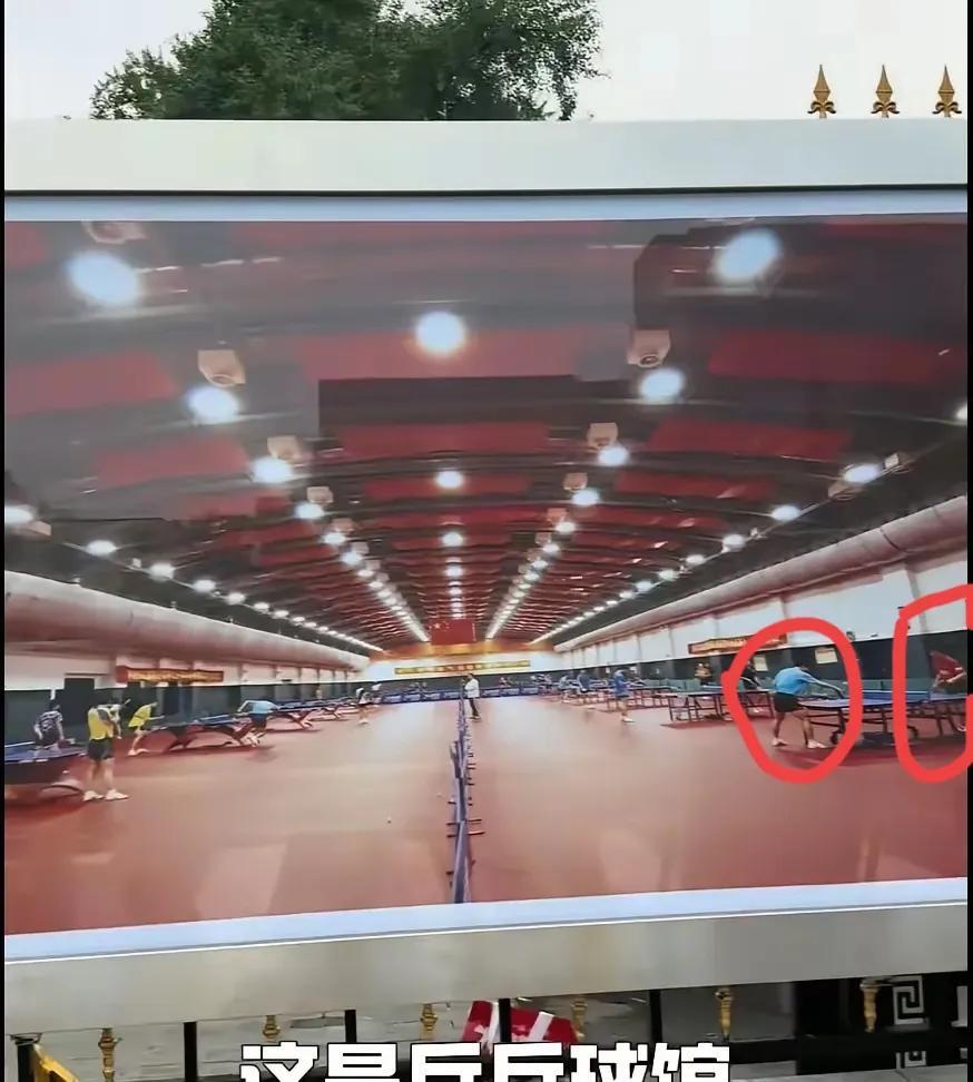 567一再强调不突出个人，看看体总围墙上的广告牌，真的没有莎莎和大头，倒是