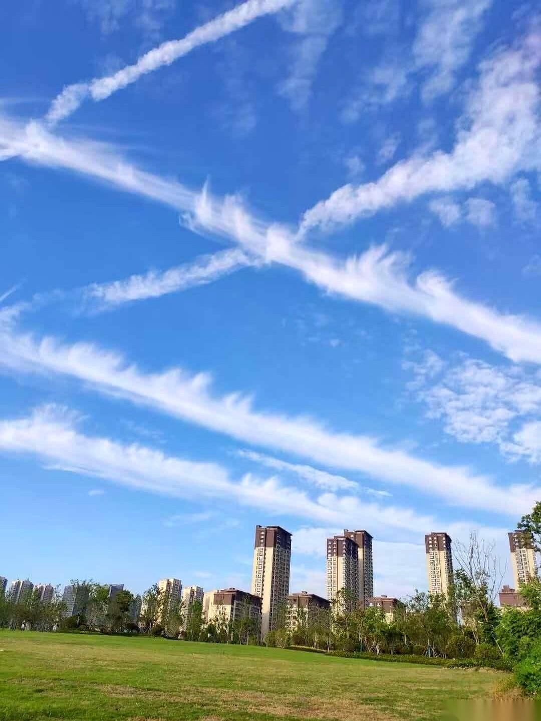 上午刚进办公室，隔壁桌的女同事正对着键盘一顿猛敲。我扫了一眼屏幕，她居然在用“千