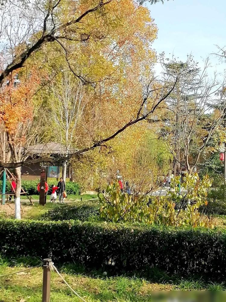 翻开华南理工的招生简章，几行黑字，直接把人看直了。第一条说报六个专业就保证在