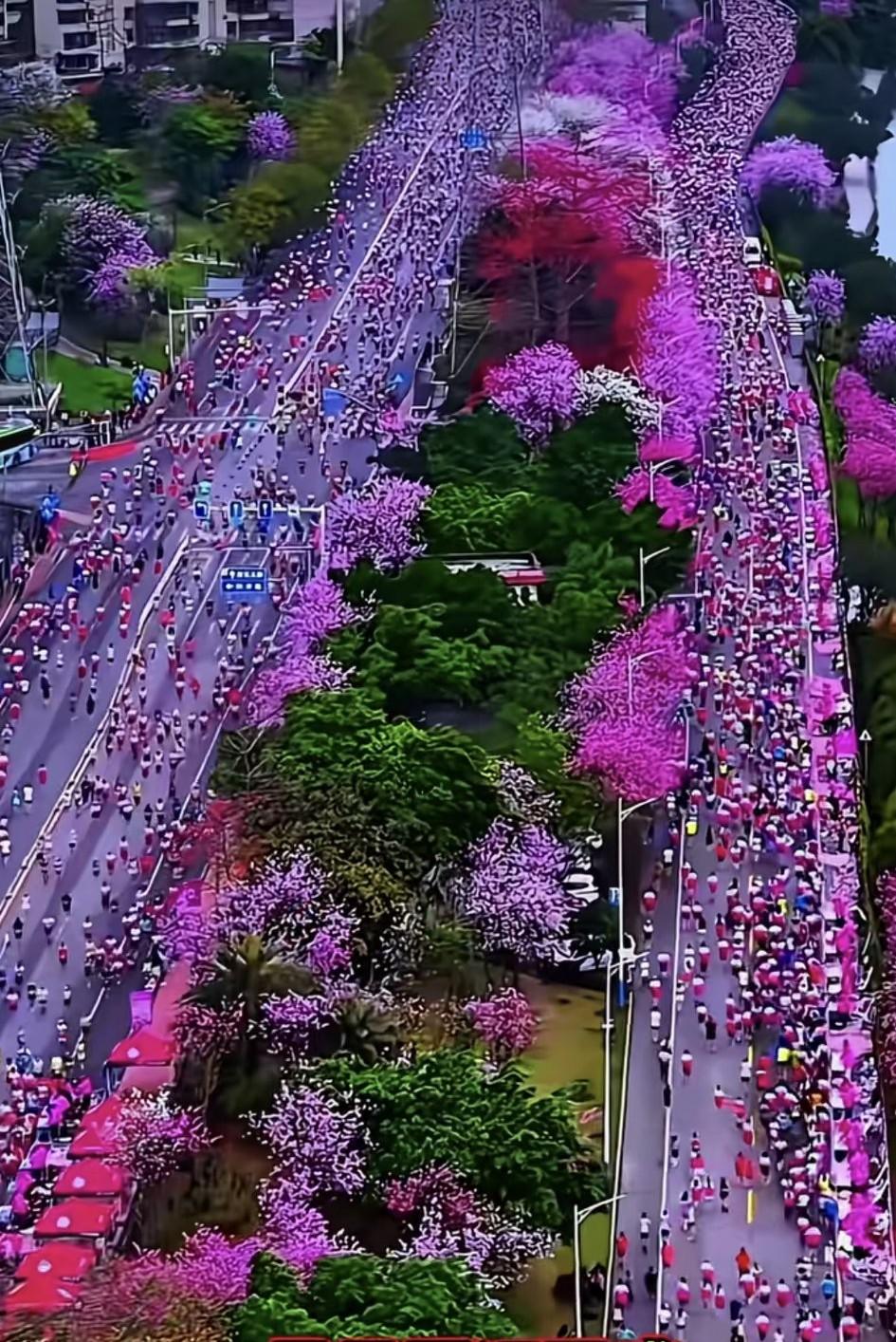 近日，广西柳州举办马拉松比赛，美轮美奂的赛道火了🔥这赛道的风景太美了！