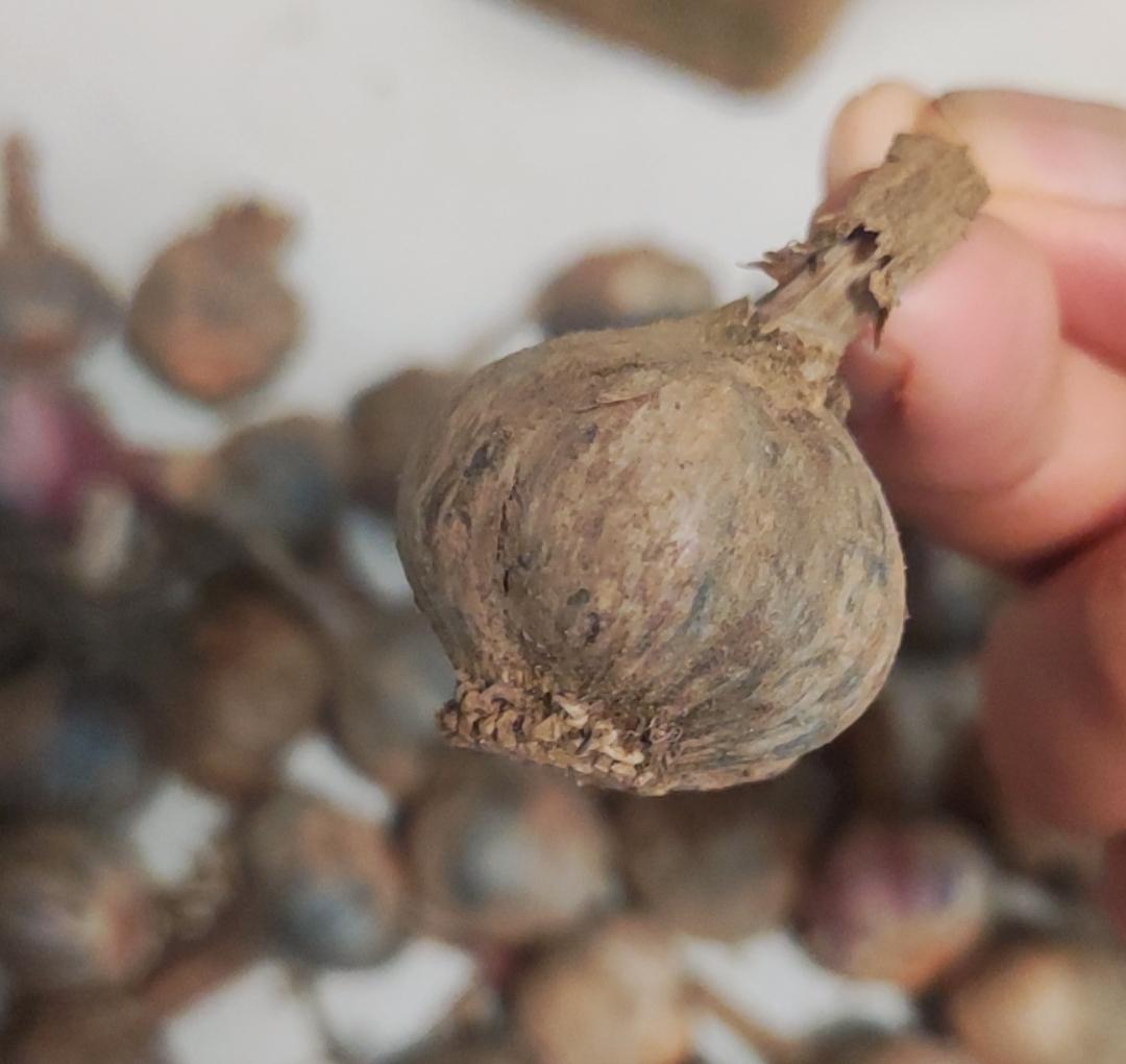 今天心情非常不好。为什么网上买菜套路也这么深！[笑着哭]以前很少在网上买蔬菜，