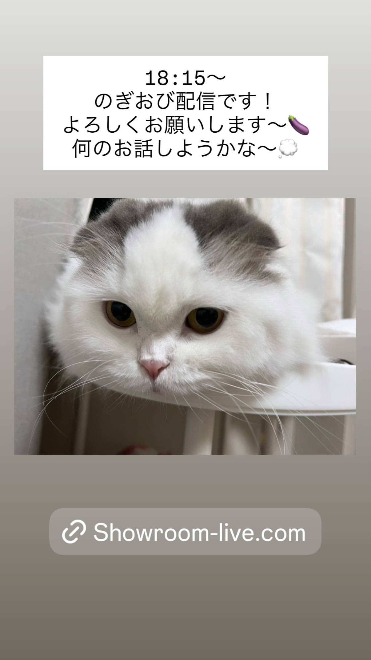 吉田綾乃クリスティー​​​