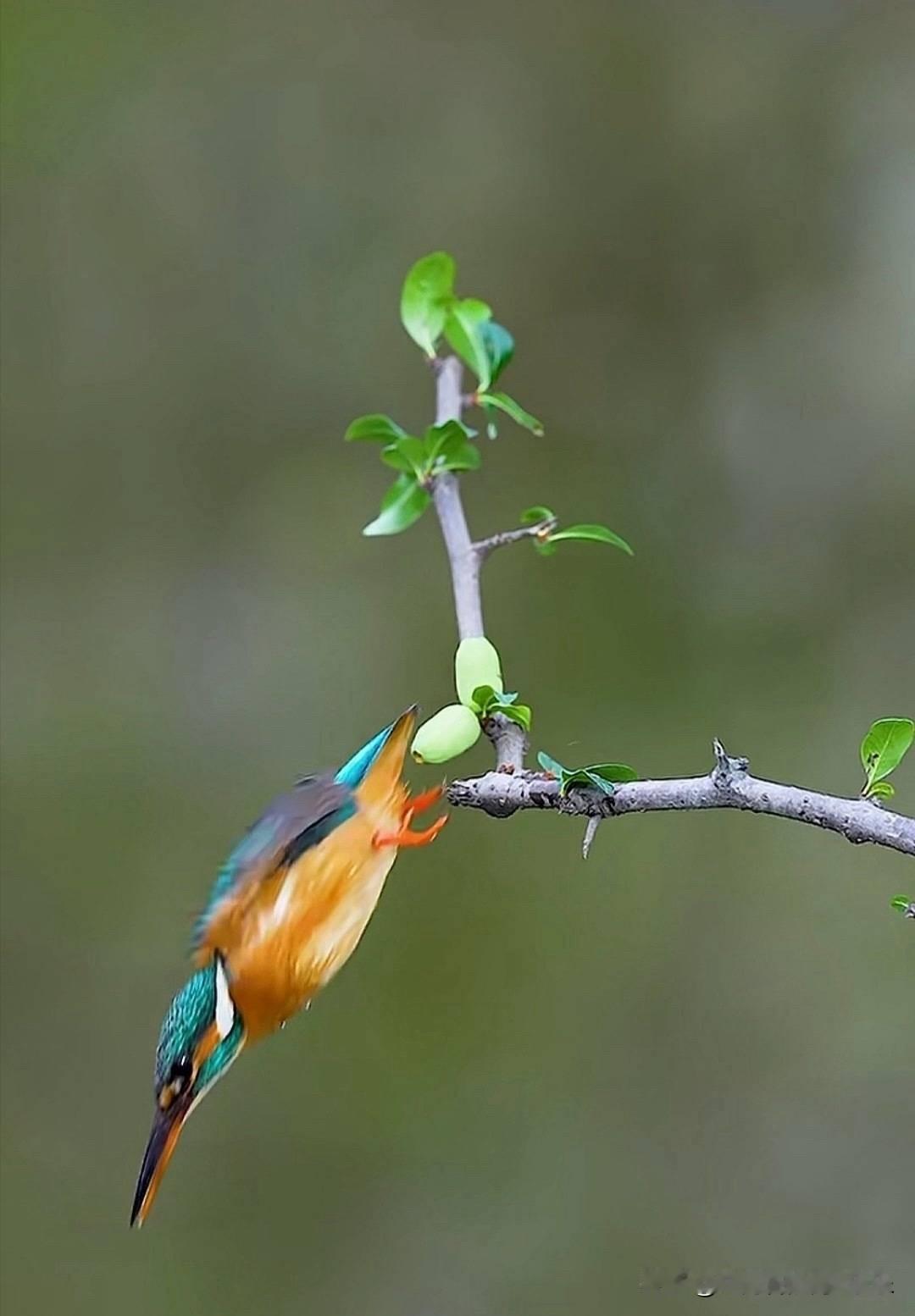 最近看了好几个年轻人找对象的过程,我都急坏了,都是心里没拎清的。我们谈恋爱可以随