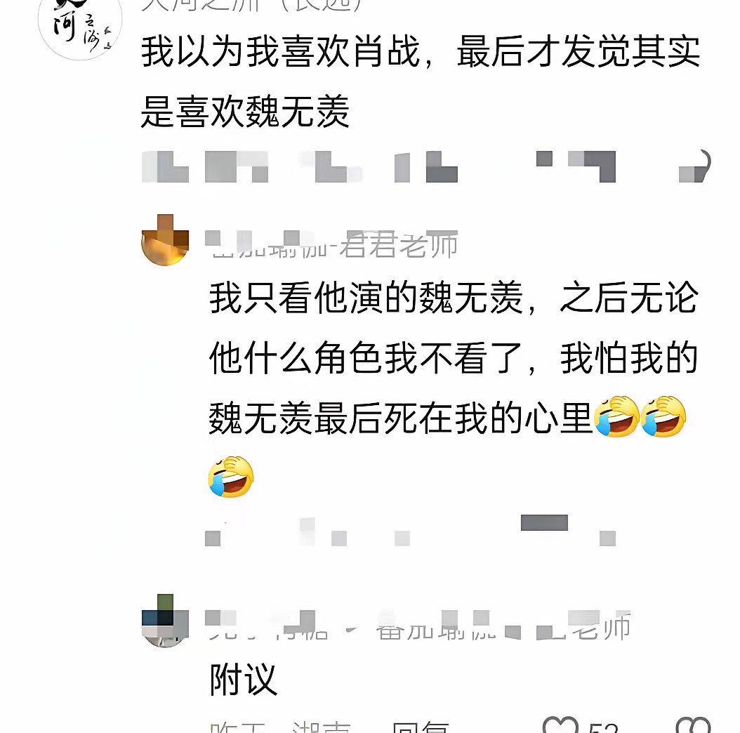 我以为我喜欢的是肖战最后才发觉我喜欢的是魏无羡看到这段话有点说不上来的感觉角色，