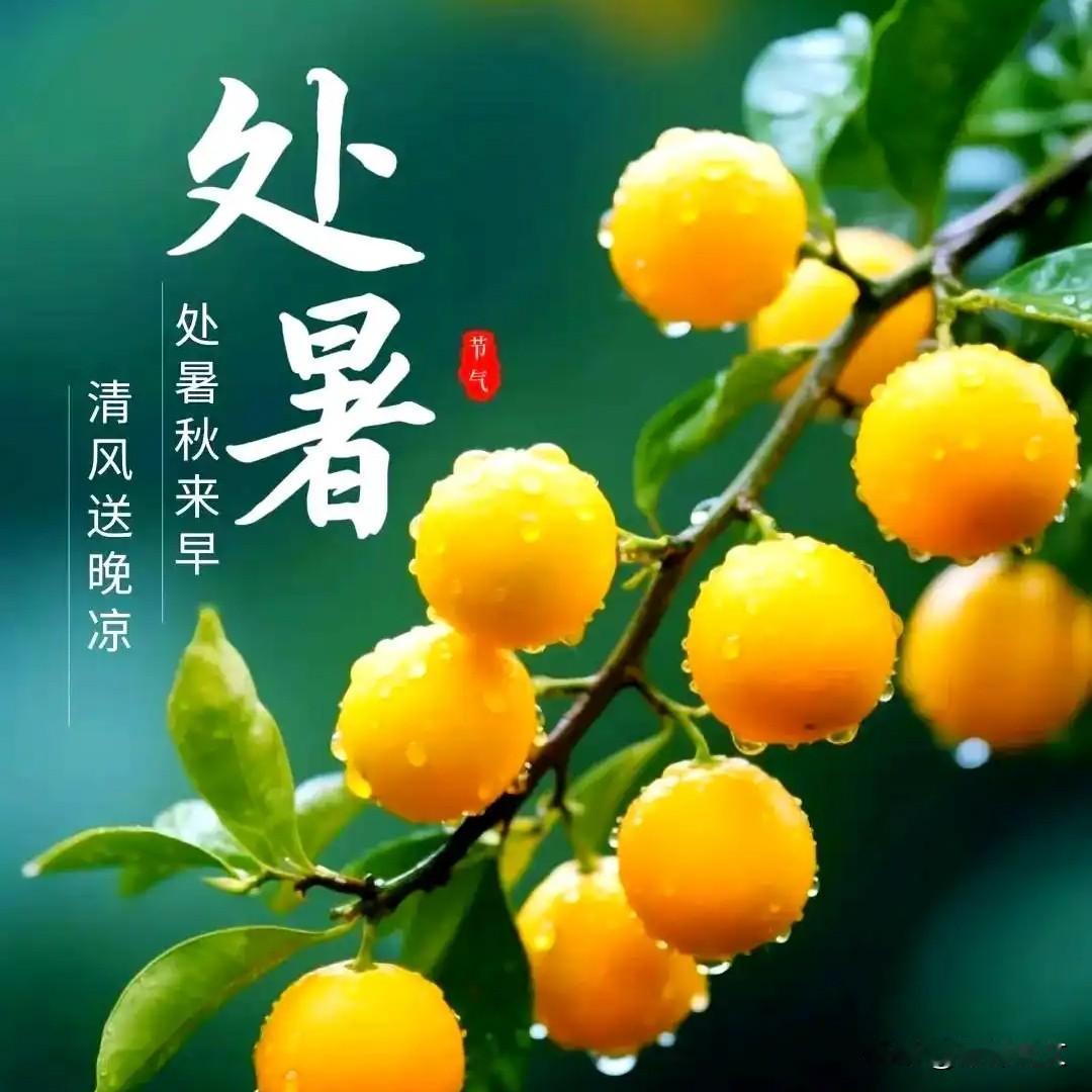 今日处暑，老话讲“处暑凉飕飕，庄稼好收秋”，种地的别不当回事今天处暑，