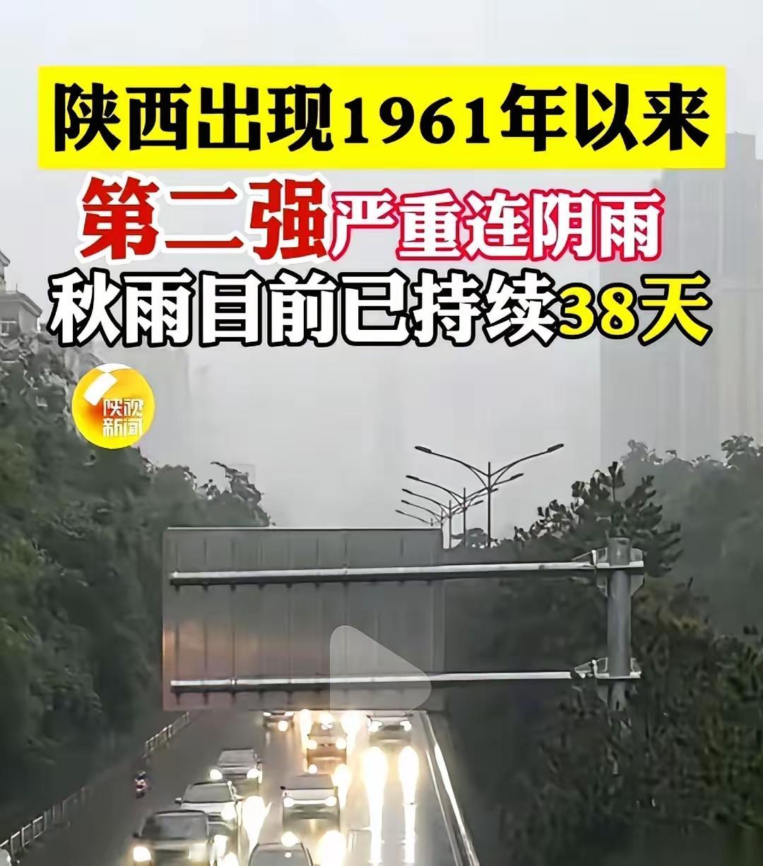 听我奶奶说，六几年那会儿，大雨下了四十多天。最后天一放晴，村里的狗都疯了，满村