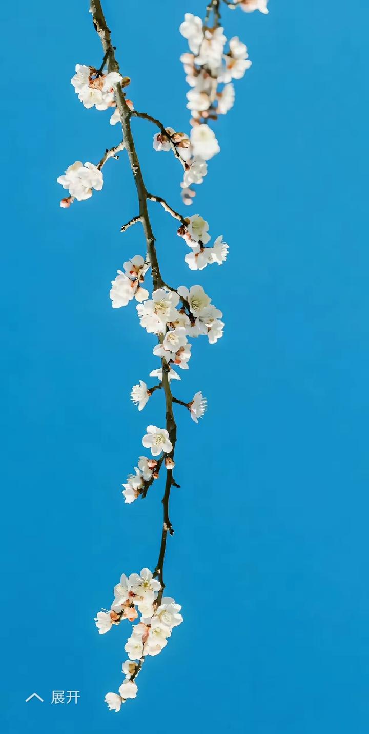 经济学家说:“两年内先不要碰房子，只要你还有地方住，就不要关注房子，那些特别有