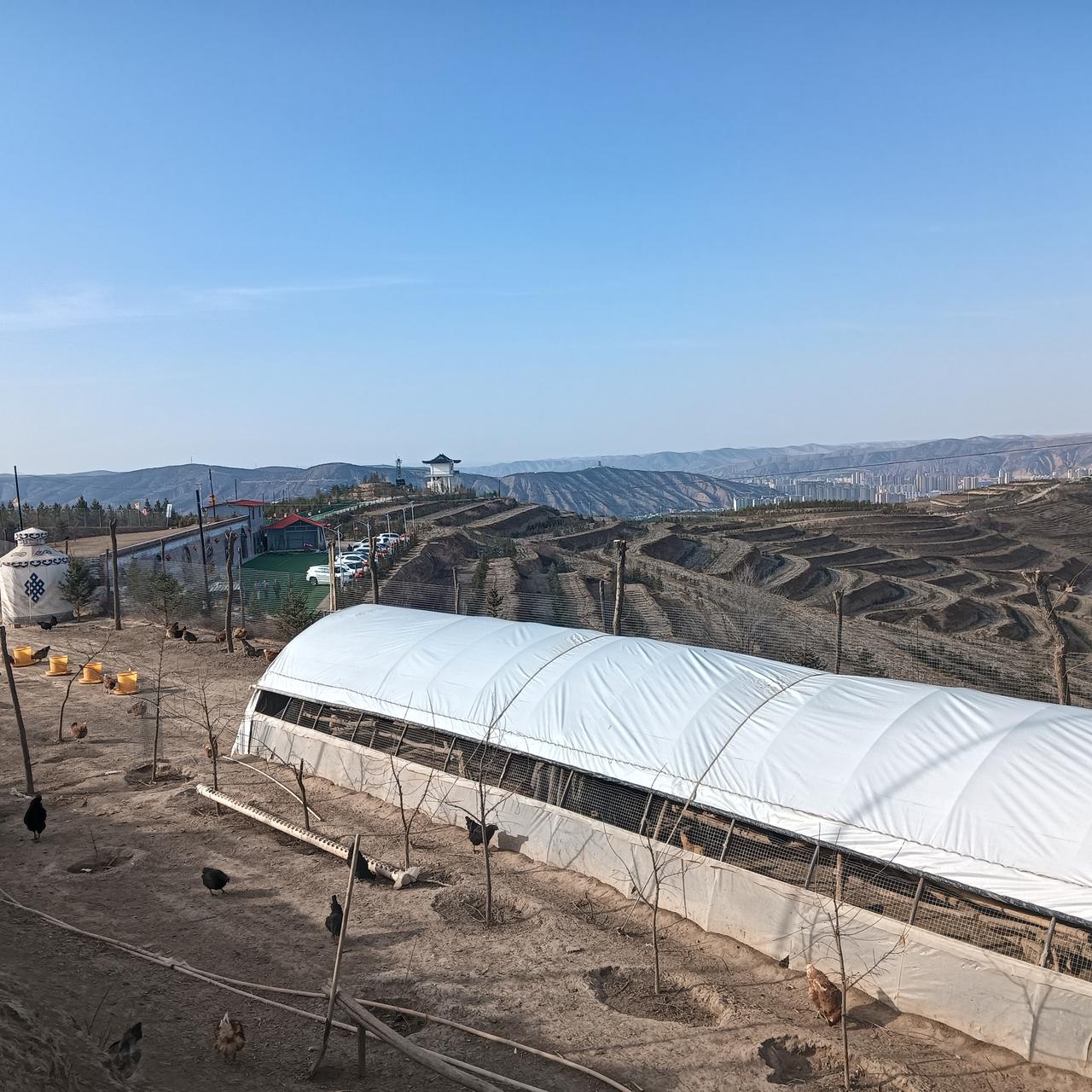 昨晚一个刚毕业的学妹私信，说自己天天窝在出租屋里，睁眼就刷招聘网站，简历投了几十