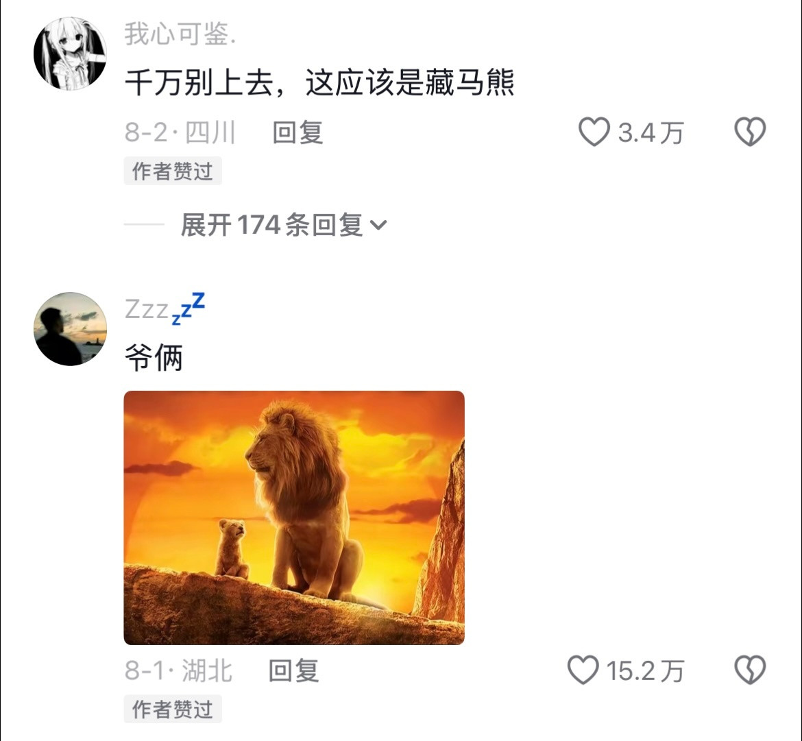 果然全世界的爸爸只要一出门就会自动解锁孤独的狼🤣👌