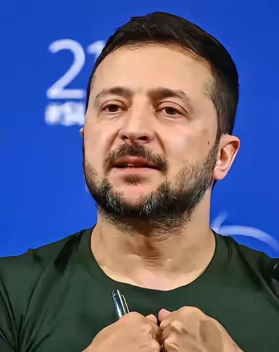 俄罗斯付出巨大代价占领的乌克兰乌东四州绝不会吐出来。特朗普施压泽连斯基以部分