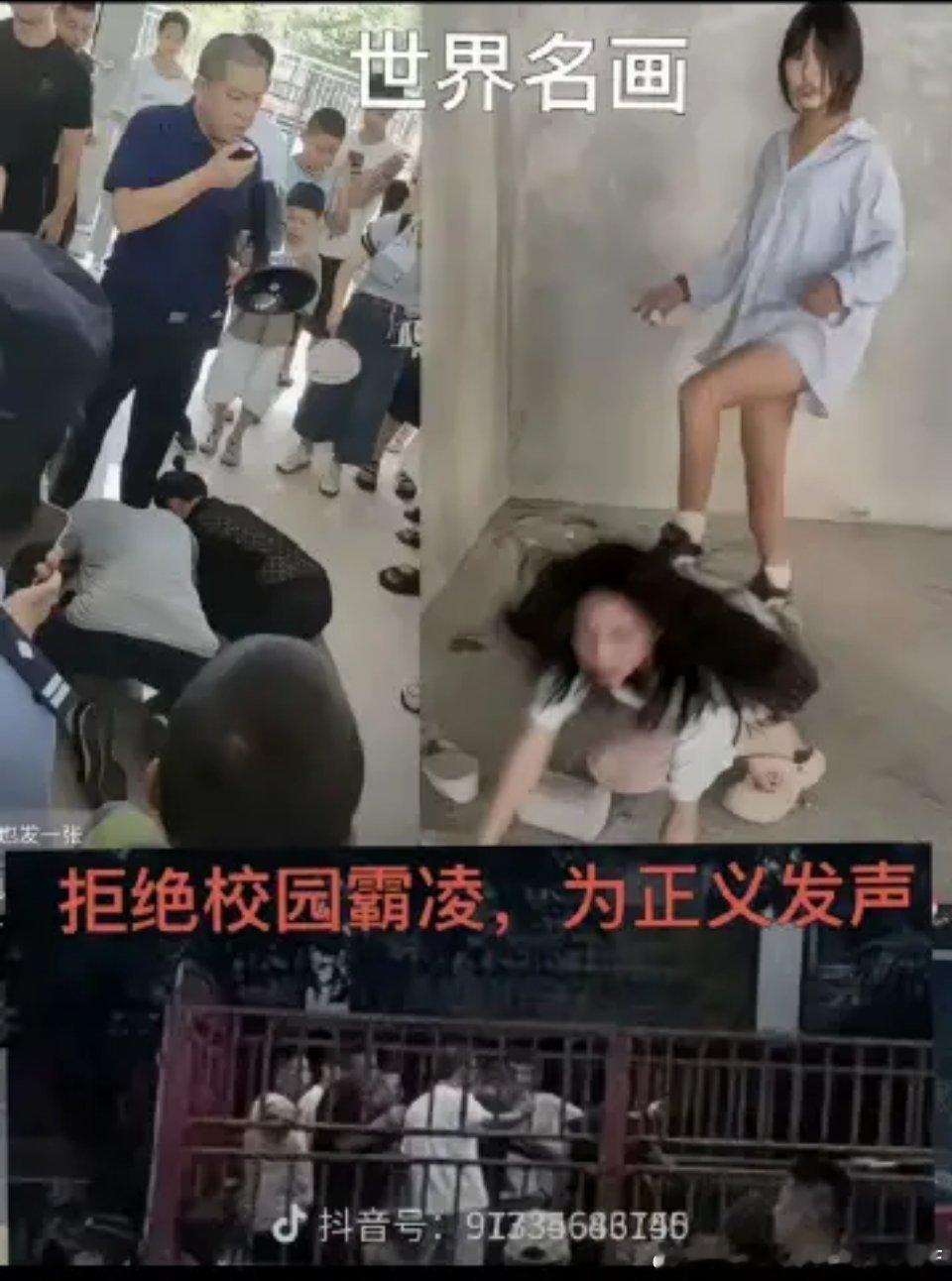 分享图片​​​
