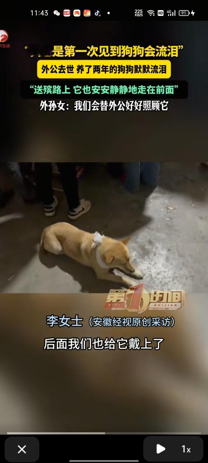 2月6日，永州市江华县。李女士分享一段视频，这只小土狗是外公两年前买来的，那时外