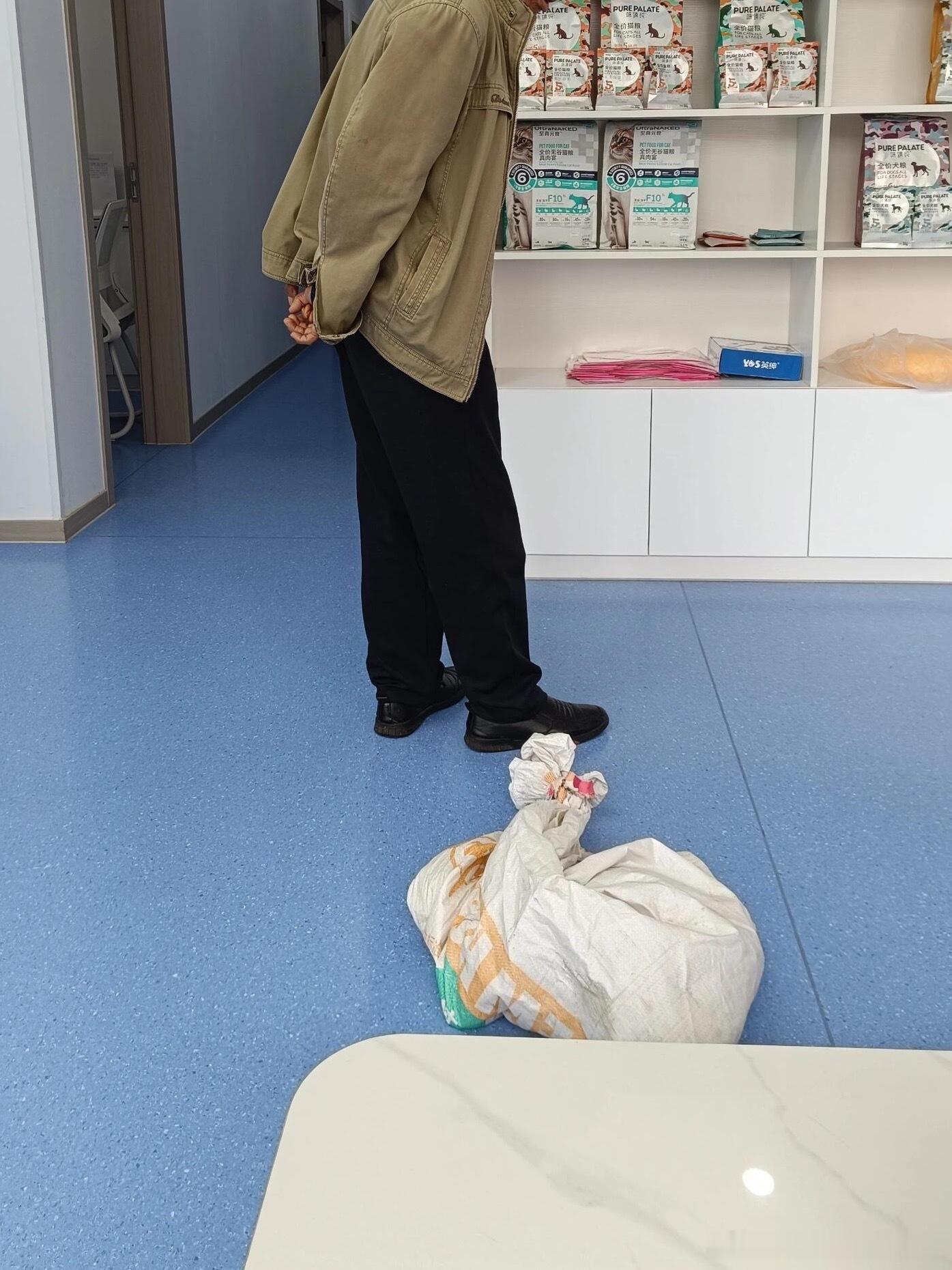 大爷硬核的爱猫方式[抱抱]春日放个疯遇见春天​​​