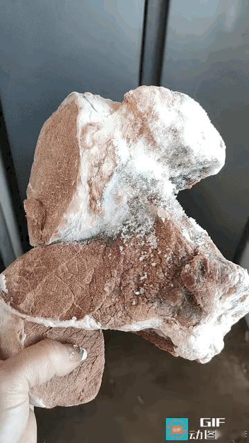 “哈哈，笑不活了！”一名女子接到妈妈的嘱咐，让她把冰箱里肉拿出来提前解冻。女子拿