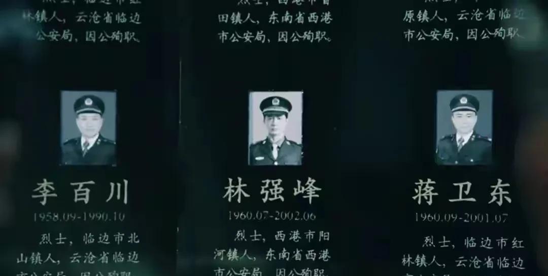 《扫毒风暴》第33集迎来最终章。卢少骅法庭诡辩难逃制裁伏法，K哥被儿子枪杀罪有应