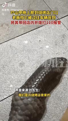 “意外的惊喜！”江西景德镇，一烧烤店老板发现门外有东西在爬行，女店主以为是只大老