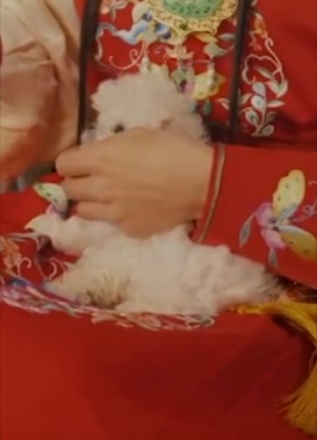 好了我现在叫四月