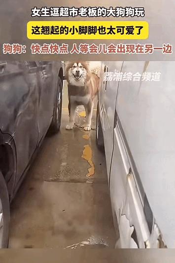 万物皆有灵性！云南，女子路过一超市看到门口有只大狗狗，觉得很可爱就想逗逗狗狗玩一