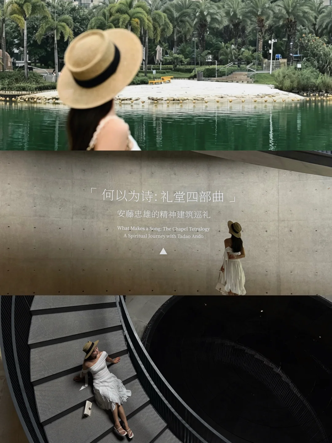 不用出国｜在广东坠入棕榈林间的山野乌托邦