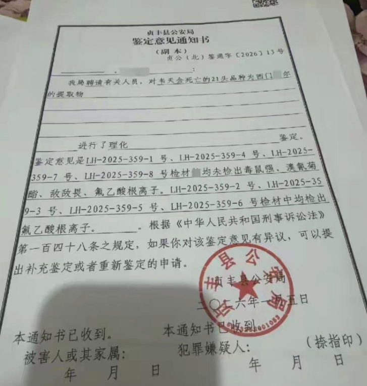 贵州55岁老汉贷款20万养牛，眼看就能出栏卖钱了，结果整批牛全死了，男子不死心，又贷款养了一批，还是