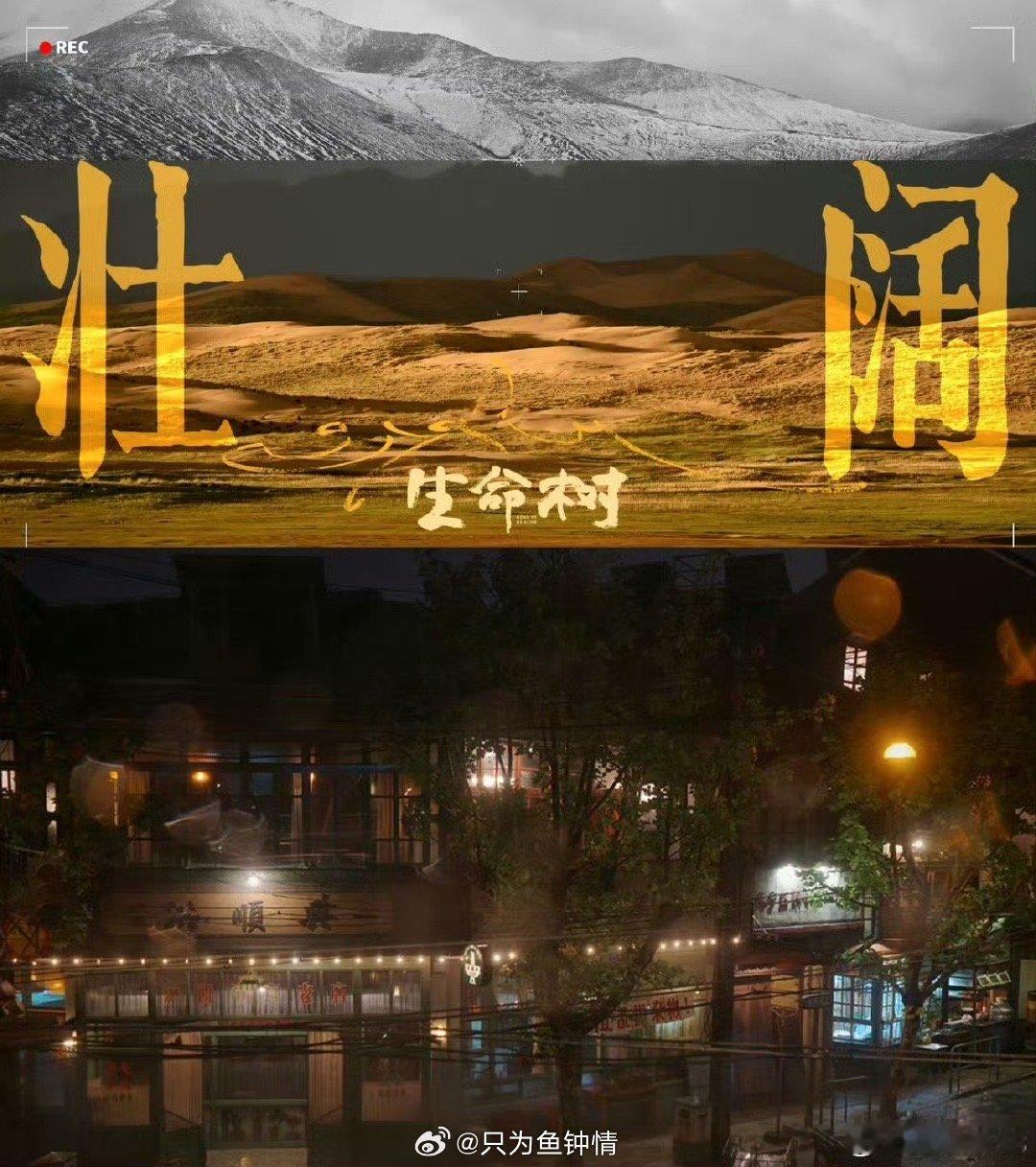 生命树和繁花是同一时代电视剧生命树当人们还在回味《繁花》里黄河路的霓虹与商战时