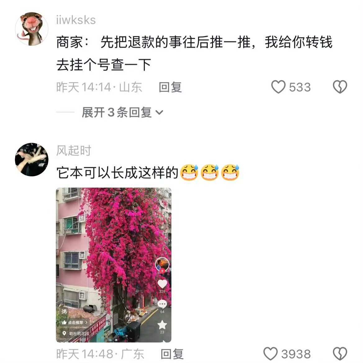 三角梅：“真倒梅”啊😅就怕人笨还勤快