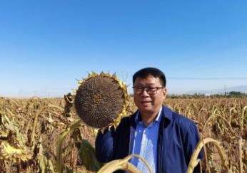 我国工程界大乌龙事件！2009年，重庆大学教授易志坚在研究物质力学时，意外发现了