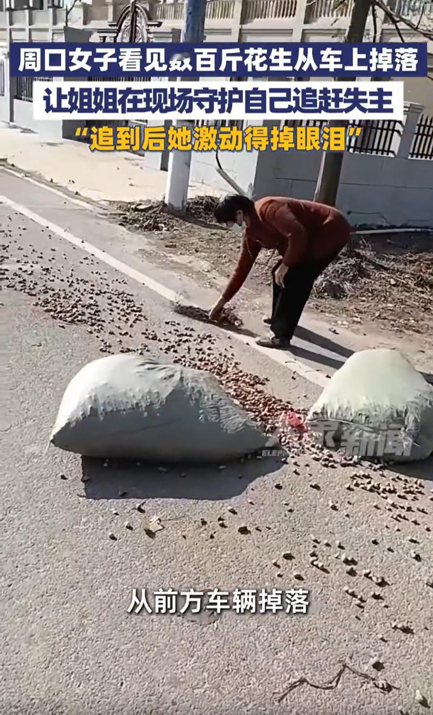 感动！河南周口，女子在院里干活时，突然看到有四袋花生从车上掉落，因为怕被别人捡走